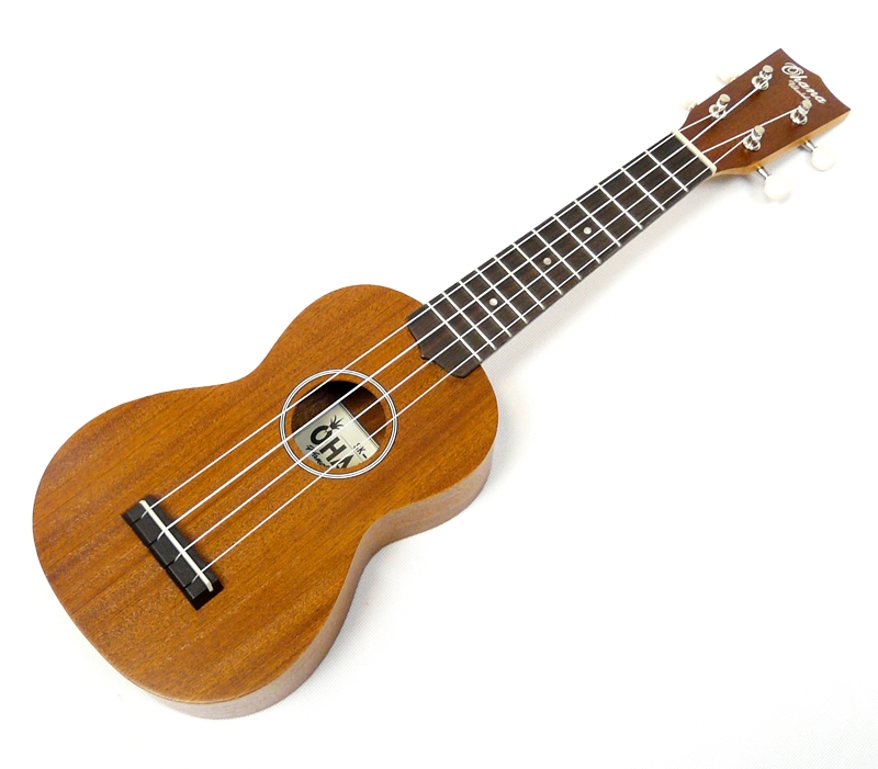 UKULELE PRO ZAČÁTEČNÍKA