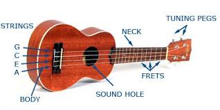 ABOUT THE UKULELE