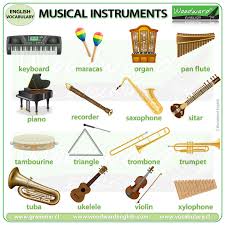 OTHER INSTRUMENTS