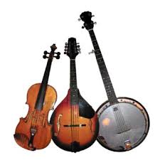 BLUEGRASS