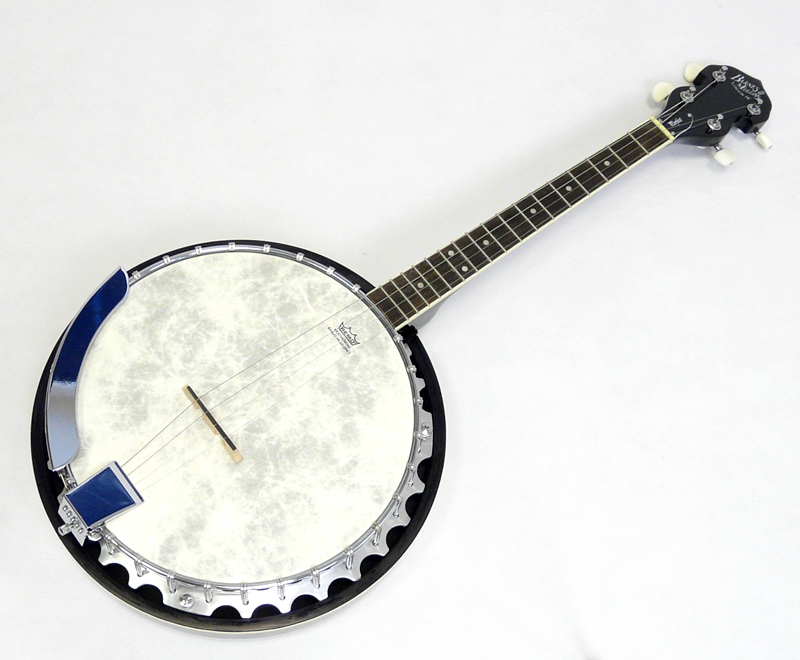 4. STRUNNÉ BANJA - 4 STRING