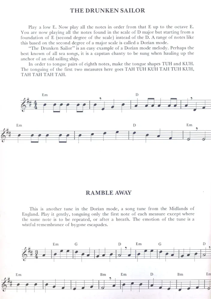 How to Play the Penny Whistle Book + Whistle