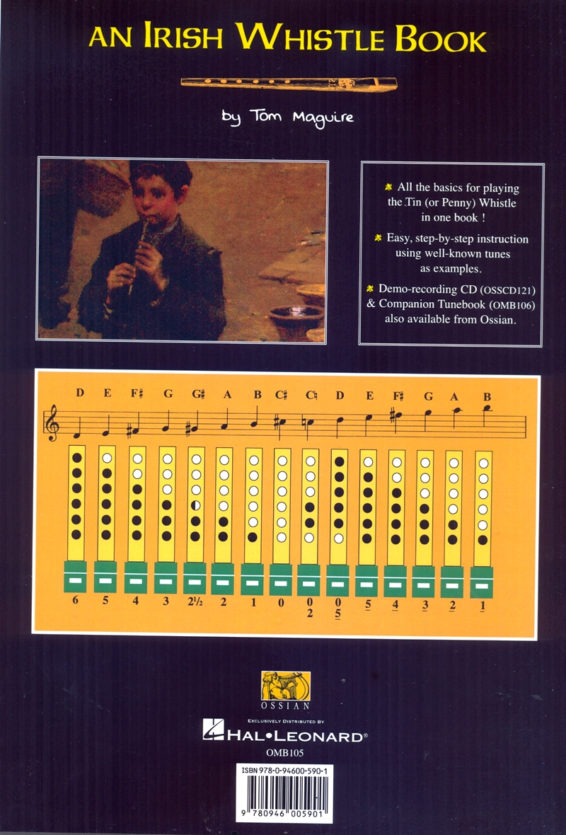 An Irish Whistle Book