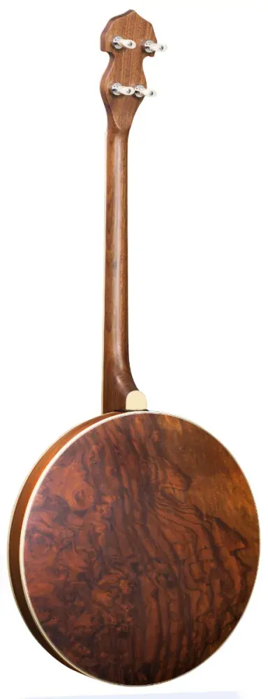 Tenor banjo BARNES & MULLINS BJ504BW "Empress"
