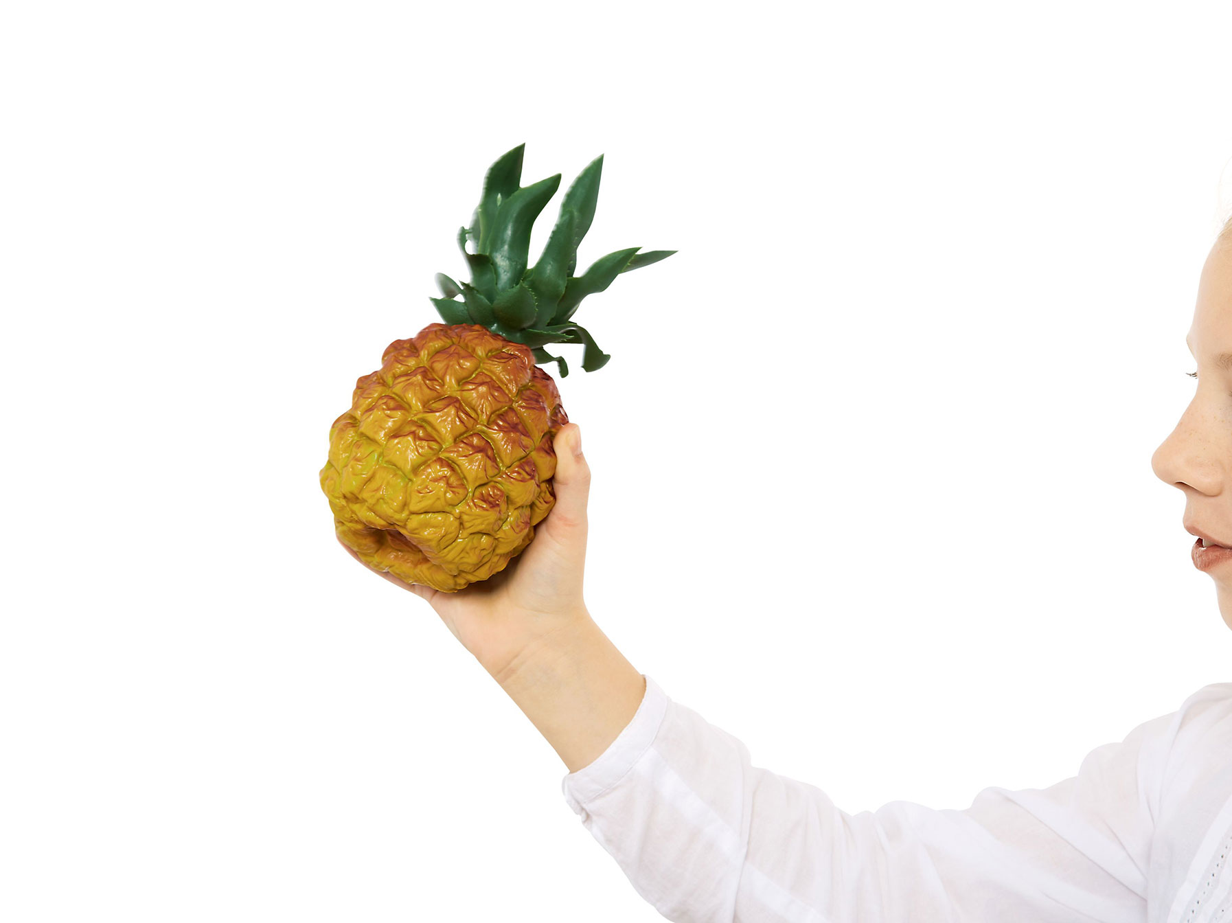 Ananas chrastidlo MEINL NINO595 Pineapple
