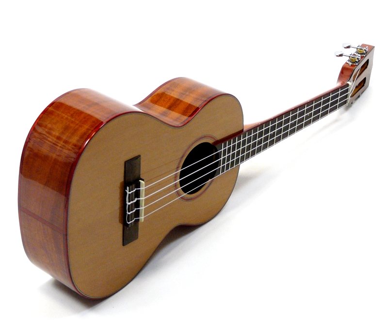 Tenor ukulele KALA KA ATP CTG Smrk a akacia