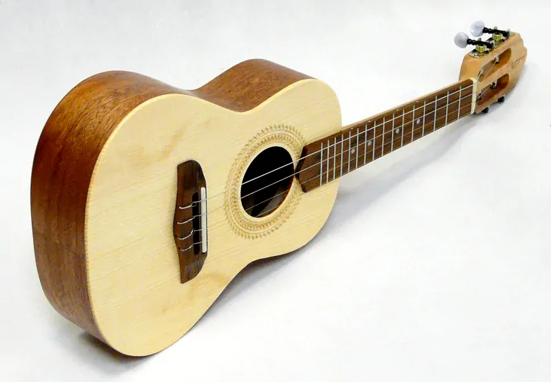 Brazilské cavaquinho APC BR110 smrk a sapelli