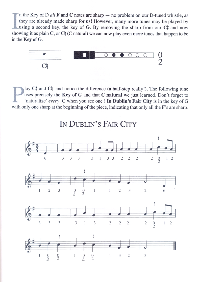 An Irish Whistle Book