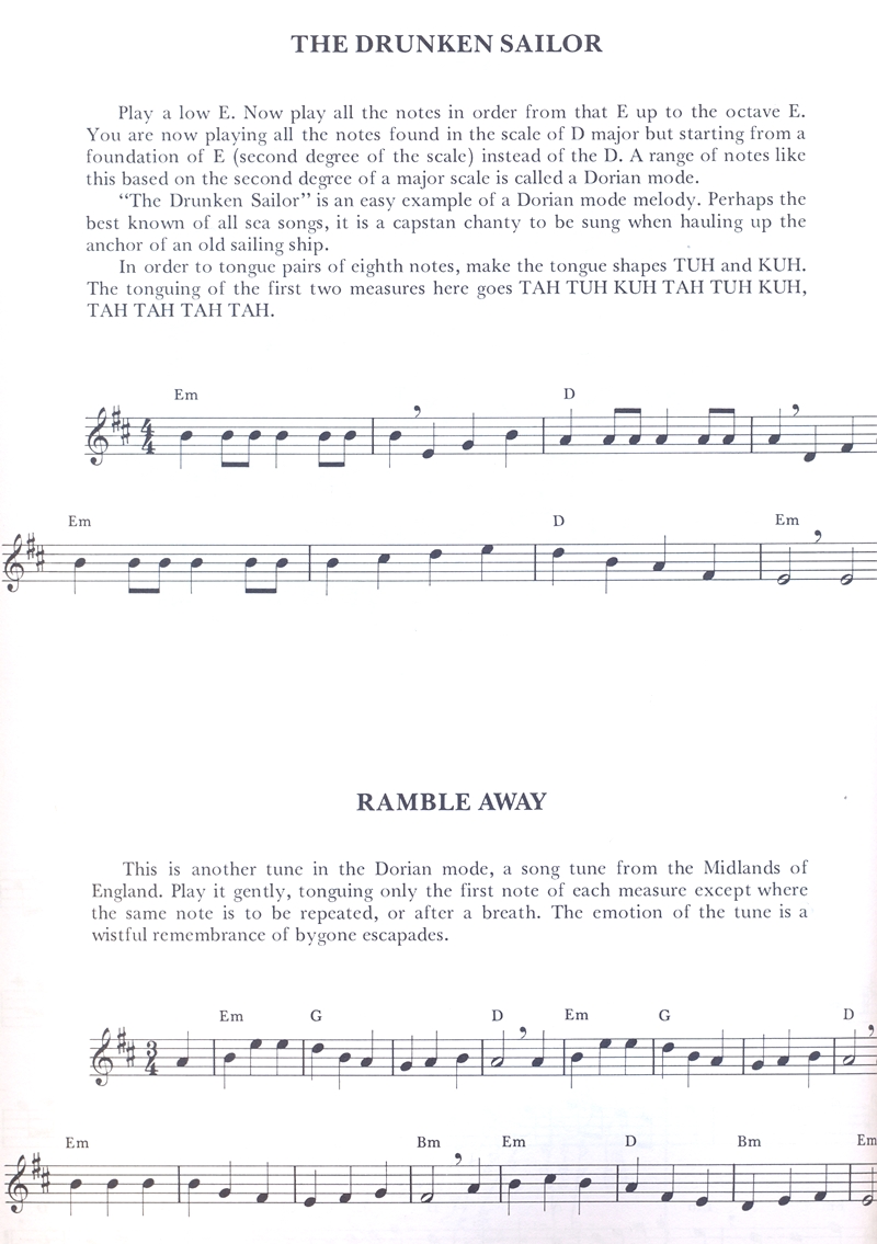 The Penny Whistle Book