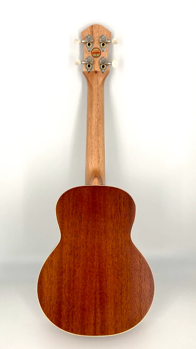 Koncertní ukulele aNueNue UC-10-BB Černá krasavice