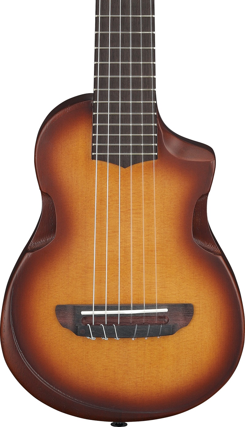 Guitarlele IBANEZ AUP10N-OLB s povlakem