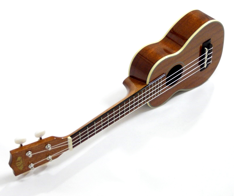Sopránové "Dlouhý krk" ukulele Kala KA-S-LNG Mahagon