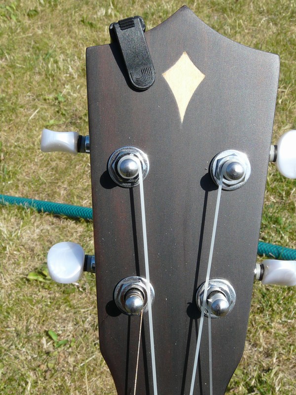 Mikro ladička D´ADDARIO Planet Waves EA PW-CT-12