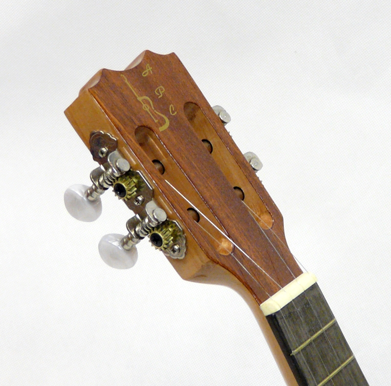Cavaquinho pintado APC