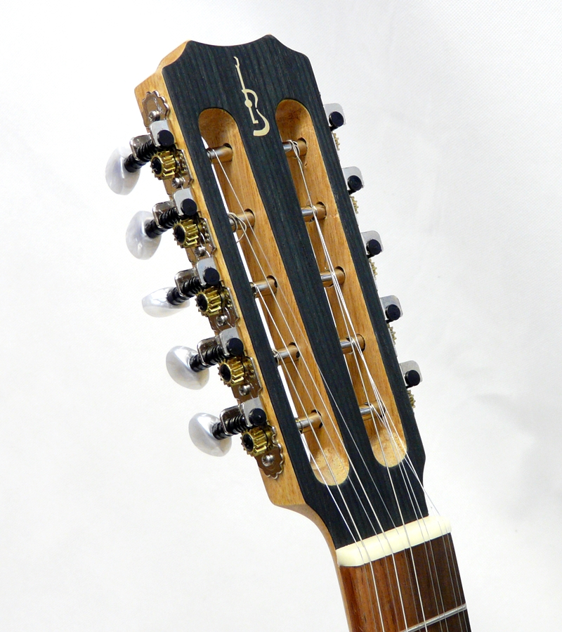 Viola Braguesa APC 250