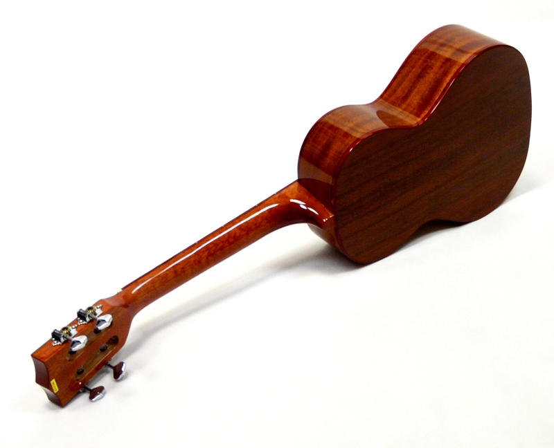 Tenor ukulele KALA KA ATP CTG Smrk a akacia
