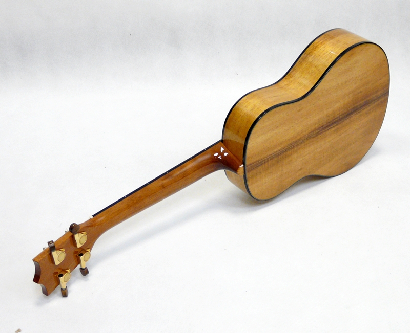 Tenor ukulele RISA UKA-KOA-DXT Celomasivni koa