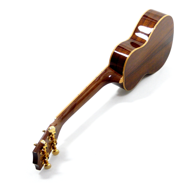 Sopránové ukulele s koncertní menzurou KALA KA KSLNG KOA
