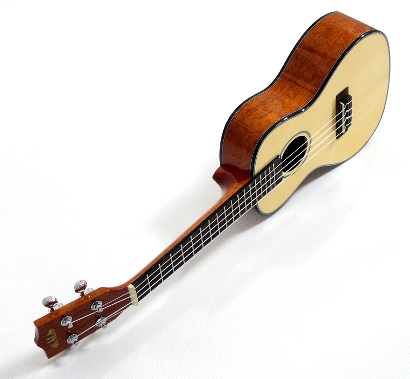 Koncertní elektroakustické koncertní ukulele KALA KA-SCG EQ