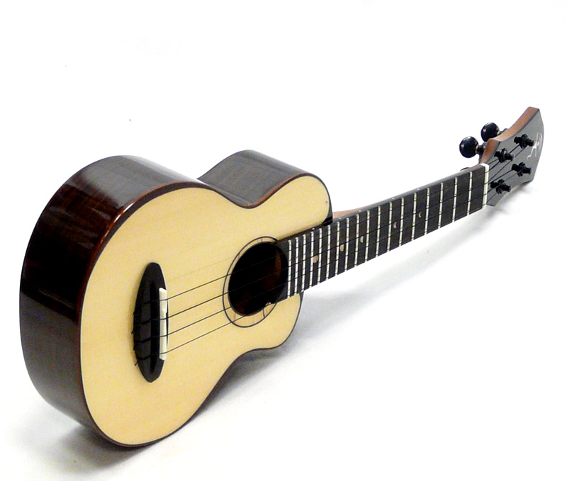 Sopránové ukulele aNueNue US200 Moonbird