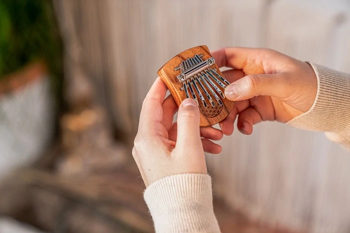 Kalimba MEINL KL802FOL