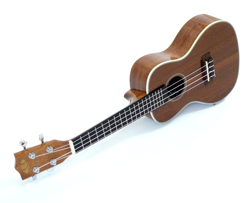 Koncertní elektro-akustické ukulele KALA KA-CG-EQ vysoký lesk