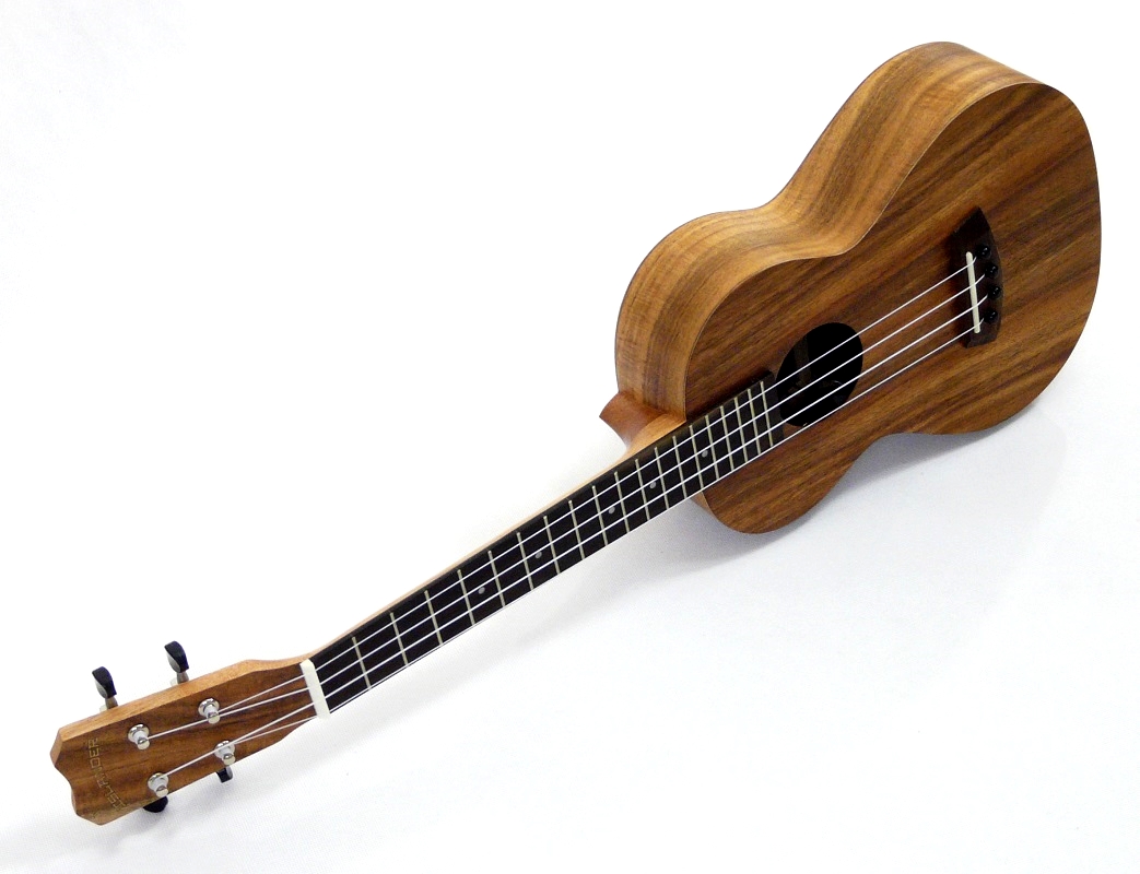 ISLANDER AT-4-EQ AKACIE TENOR UKULELE SE SNÍMAČEM