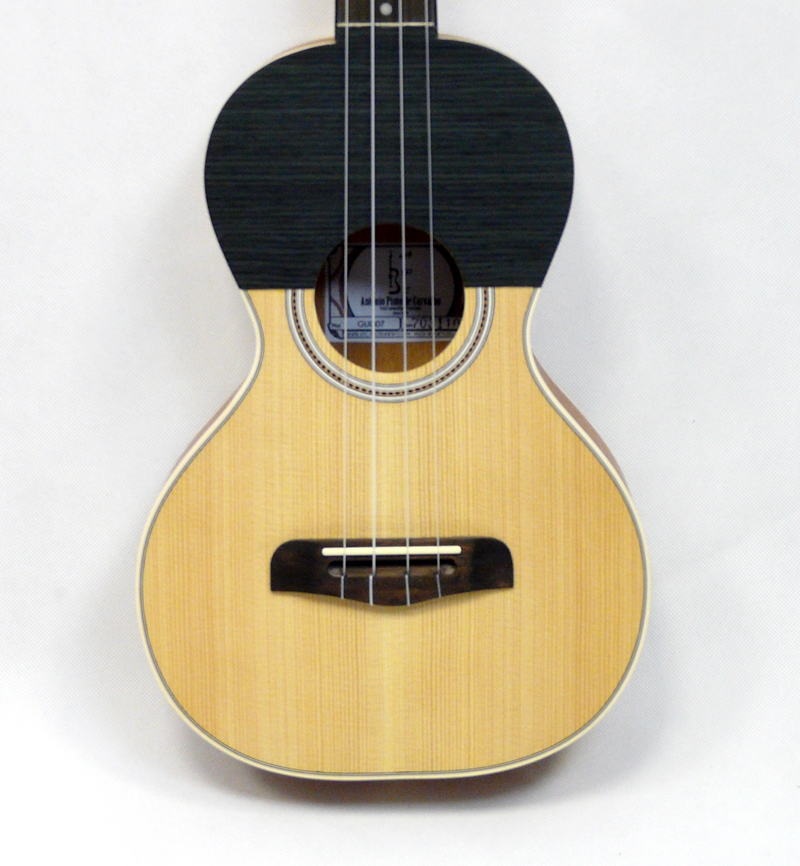 APC Guitarrico