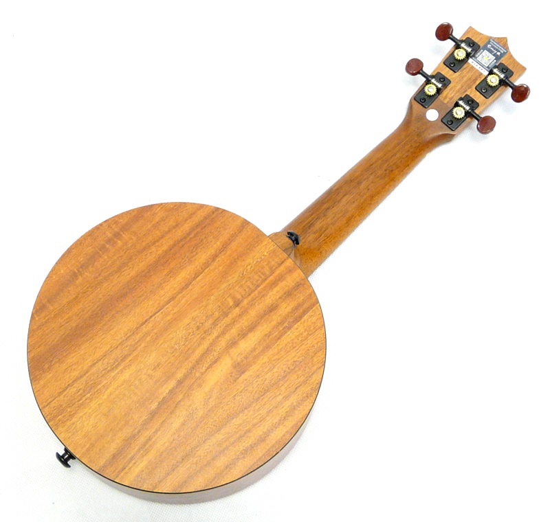 Soprano ukulele Enya EUR-X1