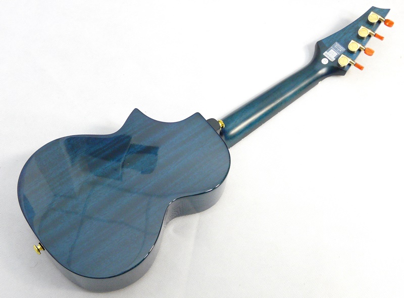 Koncertní ukulele Enya EUC-Flower Blue