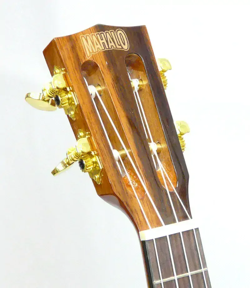 Tenor elektoakusticke ukulele MAHALO JAVA 