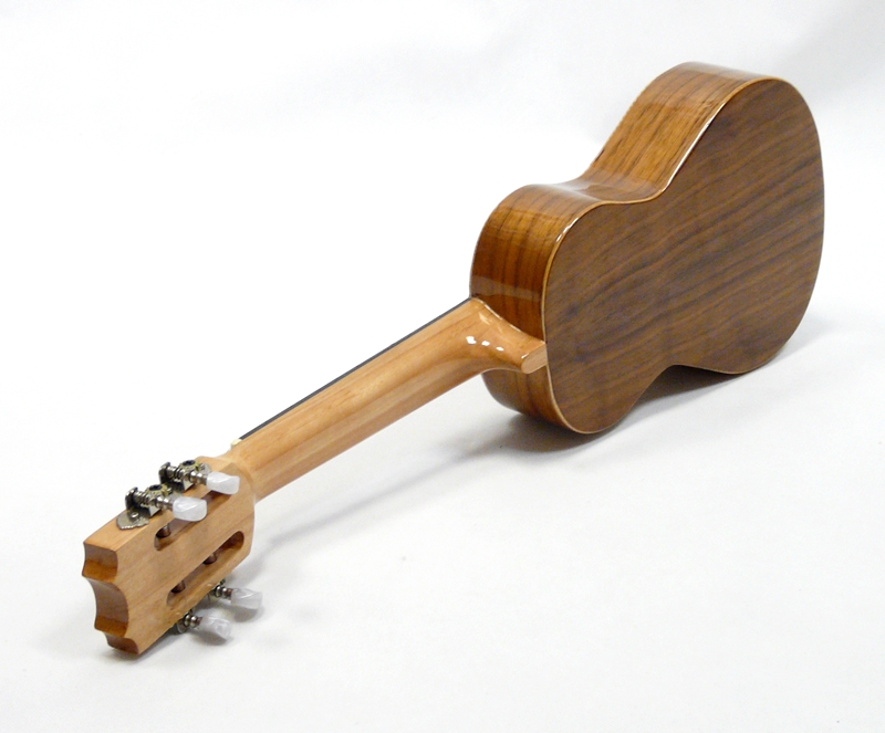 Cavaquinho pintado APC