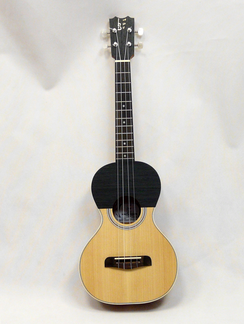 APC Guitarrico