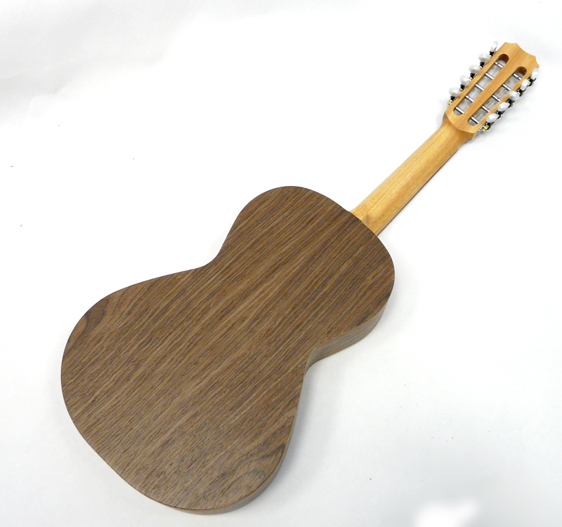 Viola Braguesa APC 250