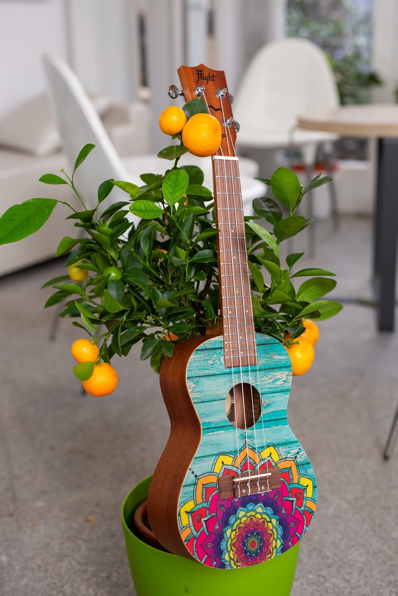 Koncertní ukulele FLIGHT AUC-33 Mansion