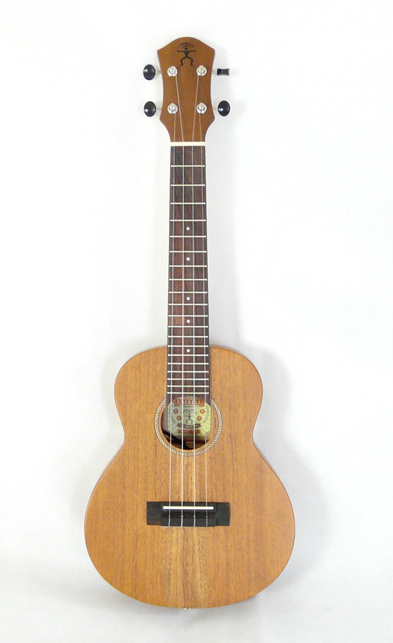 Koncertní elektro-akustické ukulele aNueNue aNN C30E Mahagon