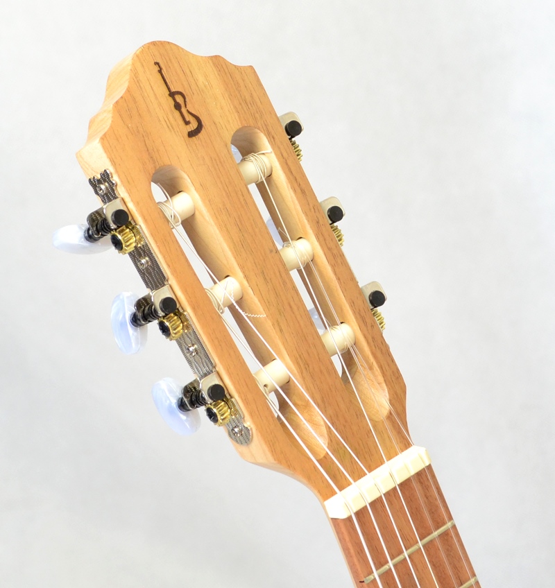 Guitarlele tenor APC GS CW celomasivní koa s snímačem a futrálem