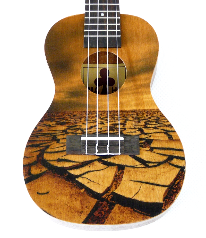 Koncertní ukulele MAHIMAHI MC-VN-02G Visual