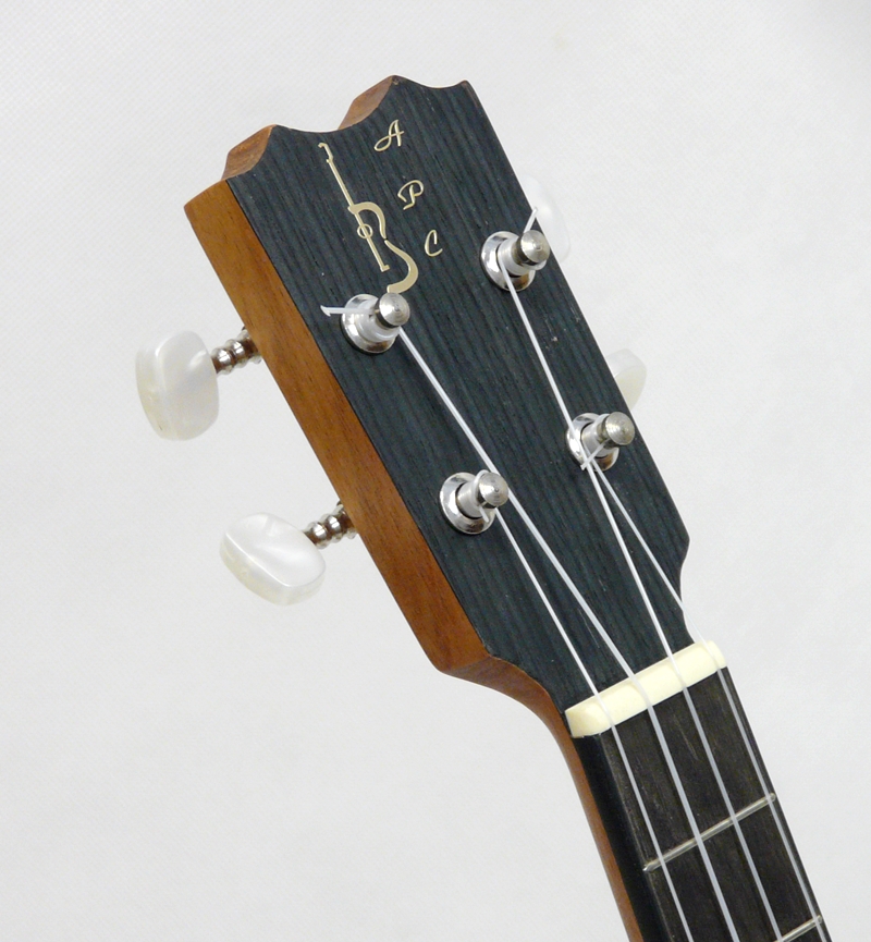 APC Guitarrico