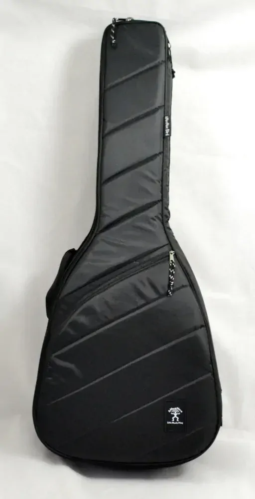 Elektro-akustické kytara aNueNue M30ACE Original