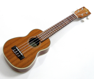 Sopránové "Dlouhý krk" ukulele Kala KA-S-LNG Mahagon