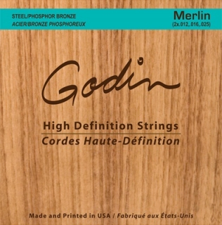 Struny na Seagul dulcimer GODIN