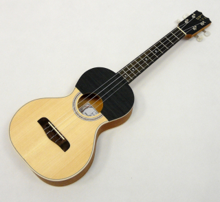 APC Guitarrico