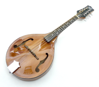 Wimborne mandolína BARNES & MULLINS BM 600