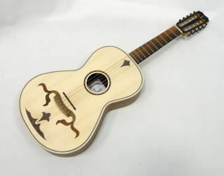 Viola Braguesa APC 250