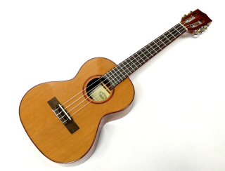 Tenor ukulele KALA KA ATP CTG Smrk a akacia