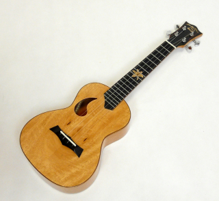 Koncertní ukulele SNAIL BH-2C Mango