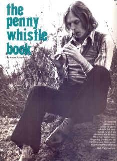 The Penny Whistle Book