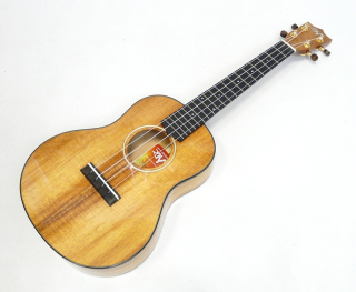 Tenor ukulele RISA UKA-KOA-DXT Celomasivni koa