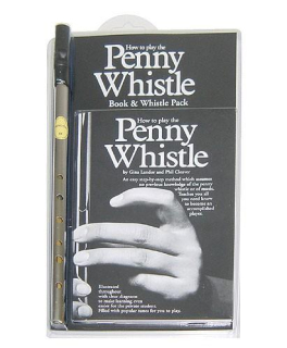 How to Play the Penny Whistle Book + Whistle